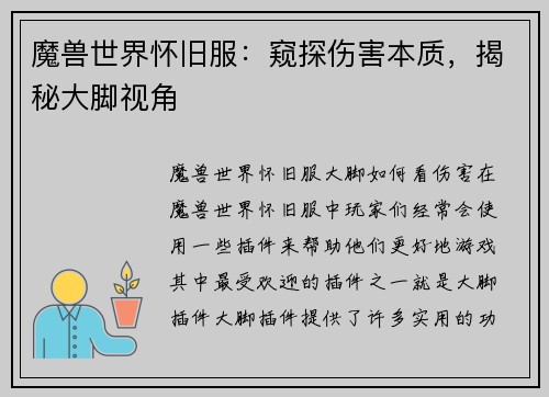 魔兽世界怀旧服：窥探伤害本质，揭秘大脚视角
